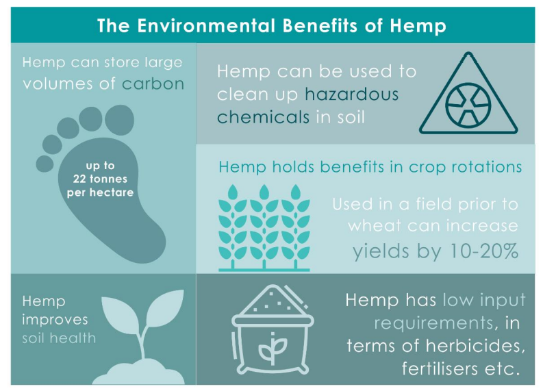 hemp benefits-1